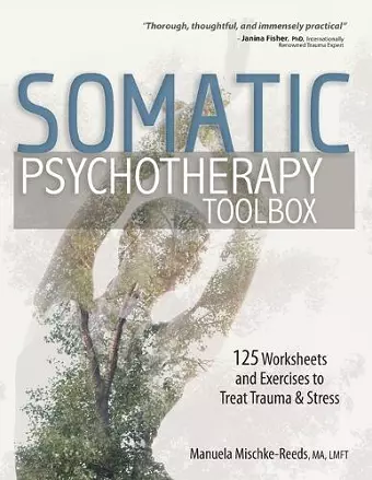 Somatic Psychotherapy Toolbox cover