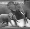 Wild Elephants cover