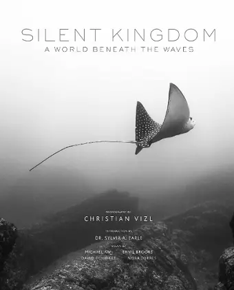 Silent Kingdom cover