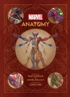 Marvel Anatomy cover