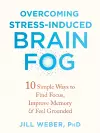 Overcoming Stress-Induced Brain Fog cover