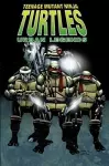 Teenage Mutant Ninja Turtles: Urban Legends, Vol. 1 cover