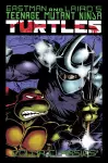 Teenage Mutant Ninja Turtles Color Classics, Vol. 2 cover
