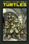 Teenage Mutant Ninja Turtles: Macro-Series cover