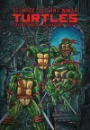 Teenage Mutant Ninja Turtles: The Ultimate Collection, Vol. 4 cover