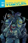 Teenage Mutant Ninja Turtles: Reborn, Vol. 1 - From The Ashes cover