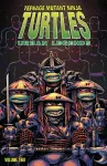 Teenage Mutant Ninja Turtles: Urban Legends, Volume 2 cover