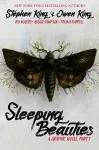 Sleeping Beauties, Vol. 2 cover