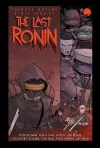 Teenage Mutant Ninja Turtles: The Last Ronin -- The Covers cover