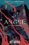 Angel Vol. 2 cover