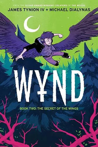 Wynd Book Two: The Secret of the Wings cover