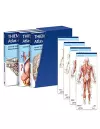THIEME Atlas of Anatomy, Latin Nomenclature, Three Volume Set, Third Edition cover