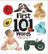 First 101 Words cover