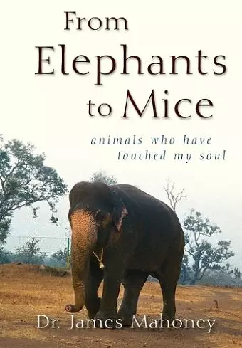 From Elephants to Mice cover