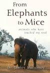 From Elephants to Mice cover