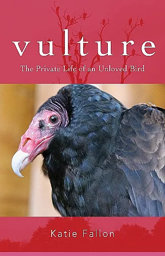 Vulture – The Private Life of an Unloved Bird cover