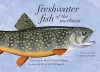 Freshwater Fish of the Northeast cover