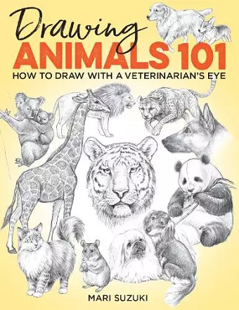 Drawing Animals 101 cover