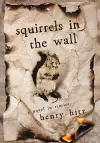 Squirrelsin the Wall cover