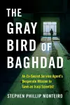 The Gray Bird of Baghdad cover