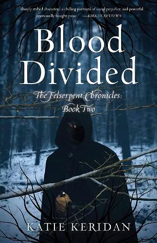 Blood Divided cover