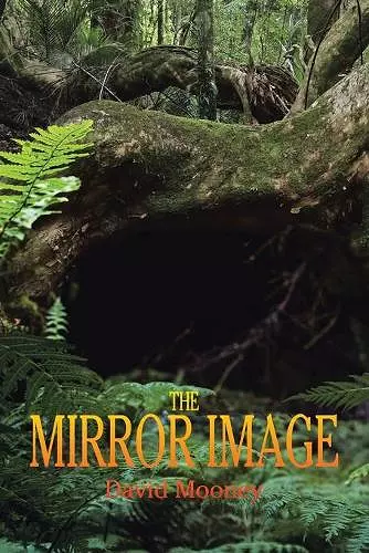 The Mirror Image cover