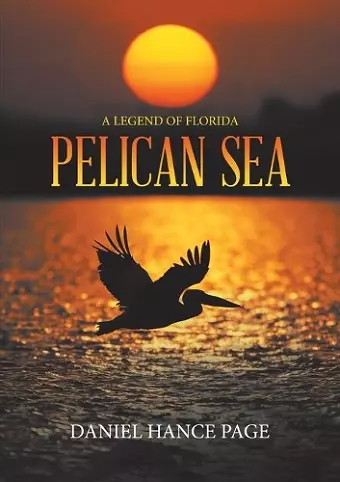 Pelican Sea cover