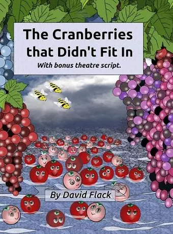 The Cranberries That Didn't Fit In cover