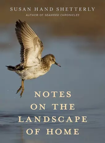 Notes on the Landscape of Home cover