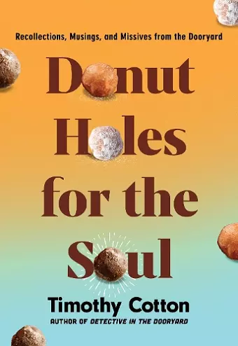 Donut Holes for the Soul cover