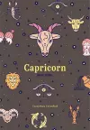 Capricorn Zodiac Journal cover