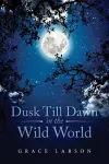 Dusk Till Dawn In The Wild World cover