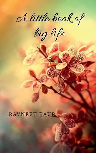 A little book of big life cover