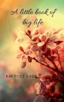A little book of big life cover