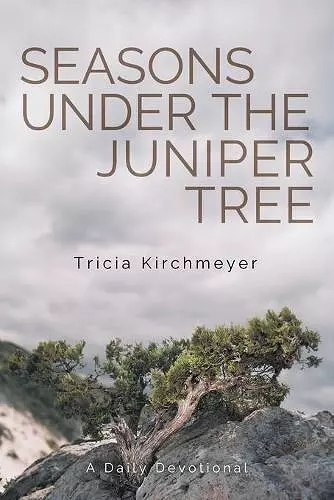 Seasons Under the Juniper Tree cover