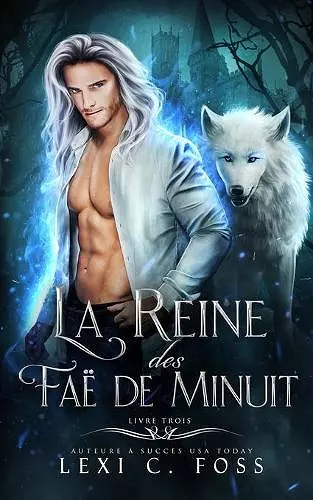 La Reine des Faë de Minuit cover