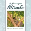 A Hummingbird Miracle cover