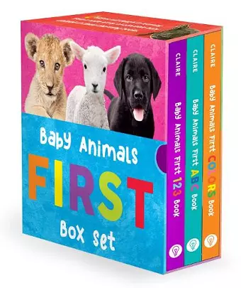 Baby Animals First Box Set: 123, ABC, Colors cover