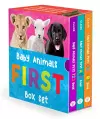 Baby Animals First Box Set: 123, ABC, Colors cover