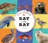 Animal Adventures: Day in the Bay cover