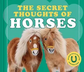 The Secret Thoughts of Horses cover