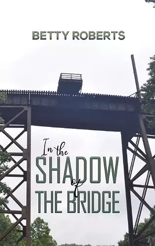 In the Shadow of the Bridge cover