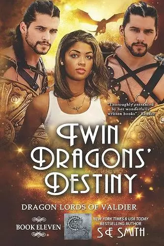 Twin Dragons' Destiny cover