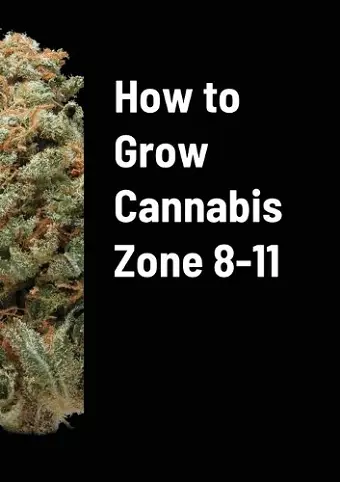 How to Grow Cannabis Zone 8-11 cover