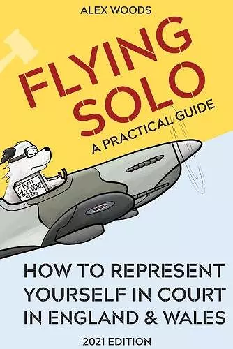 Flying Solo cover