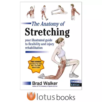 The Anatomy of Stretching cover