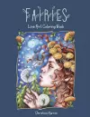 Fairies Line Art Coloring Book cover