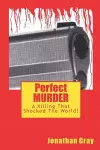 Perfect MURDER cover