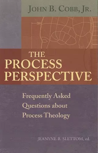 The Process Perspective cover