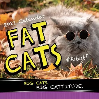 2021 Fat Cats Wall Calendar cover